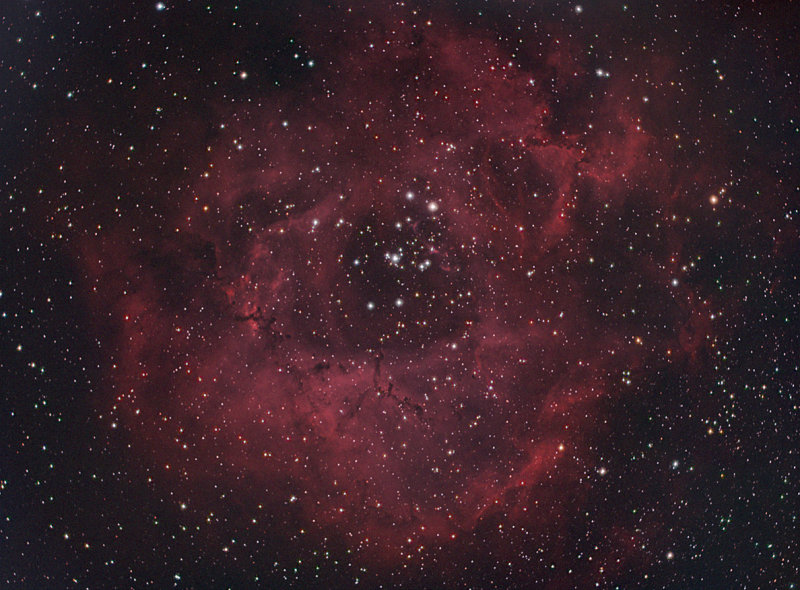 Rosette Nebula (NGC 2244) Ha (HaR)(HaOIIIG)(HaOIIIB)
