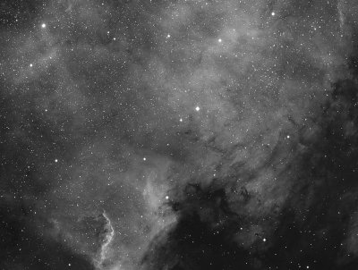 North America Nebula in Hydrogen Alpha