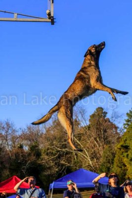 Extreme Vertical