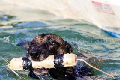 Speed Retrieve