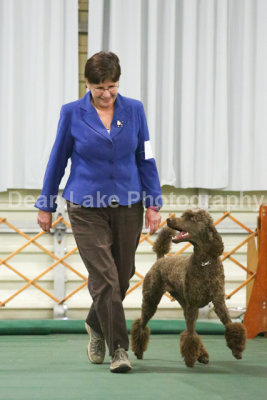 GCOC Obedience Trial January 2013