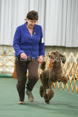 GCOC Obedience Trial January 2013