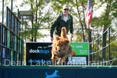 Palmetto Dock Dogs Diving for Autism April 2013