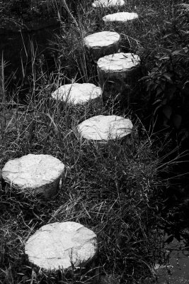 DSC_9105.jpg