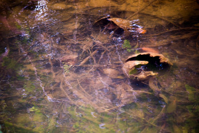 DSC_9389.jpg