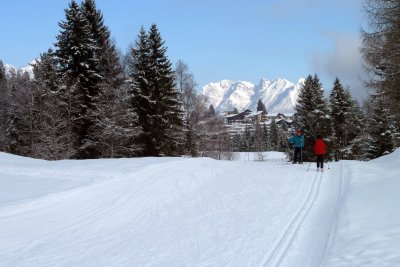 P1000779.jpg
