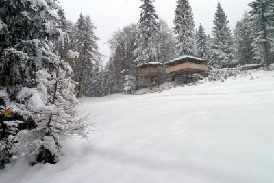 P1000787.jpg