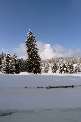 P1000821.jpg