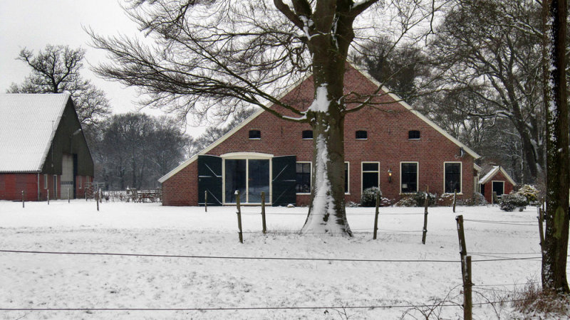 Smeerling - Hiddinghhoeve