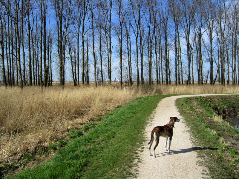Sneekermeer walk