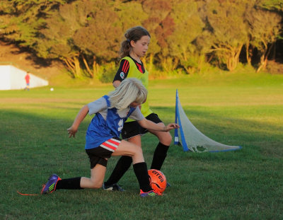 g2/44/316244/3/146788298.nZ5BuGO2.jpg