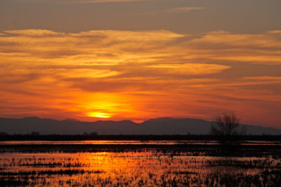 Sunset, San Joaquin Valley