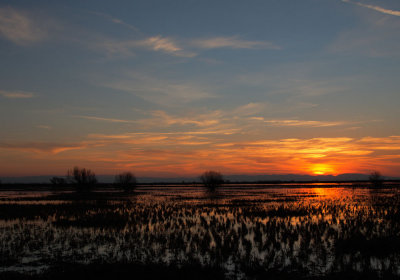 Sunset, San Joaquin Valley