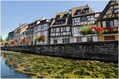 Colmar 