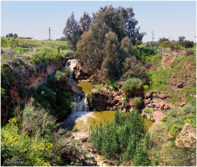 Nahal Harod, Israel