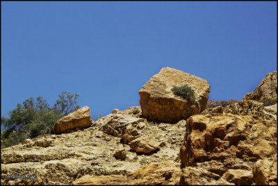 נחל ערוגות