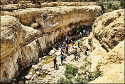 Wadi Arugot By Yigal Shalhevet