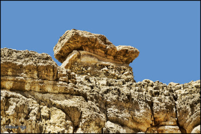 Wadi Arugot By Yigal Shalhevet