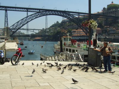Porto 1018