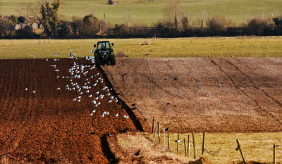 ploughing final adj 1.jpg