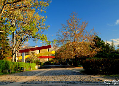 SPRING AT METU (ODT) CAMPUS-1