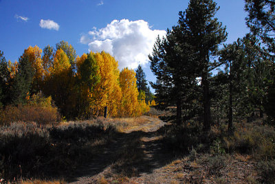 Fall Color Hope Valley view.jpg
