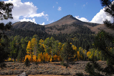 Fall Color Hope Valley view.jpg