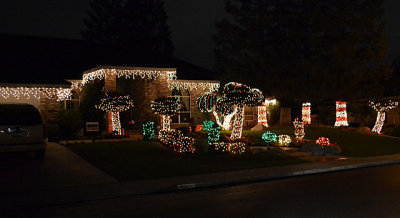 Christmas Lights Nikon D3100 18-55mm.jpg