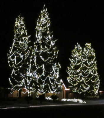 Christmas Lights in Bakersfield - Canon S 90.jpg