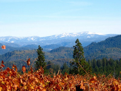 Vineyard color with mid-Nov Mountain Snow  (Before) Original by Larry.jpg