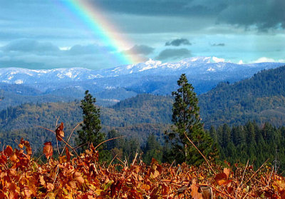 Vinyards and Mountain Storms (After) (PS).jpg