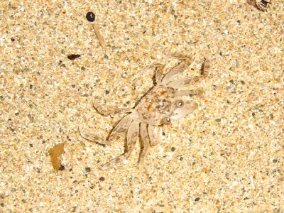 Beach - Puerto Rico