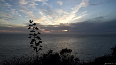 Big Sur in Fall