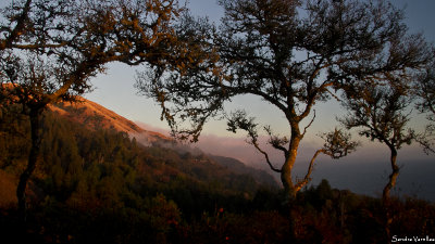 Big Sur in Fall
