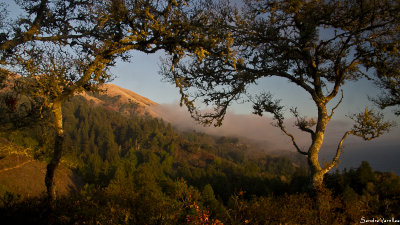 Big Sur in Fall