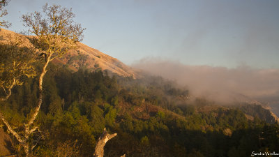 Big Sur in Fall
