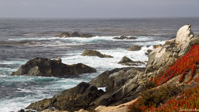 Big Sur in Fall