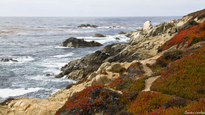 Big Sur in Fall