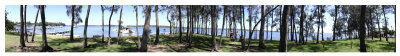 DSCF7020 copy.jpg