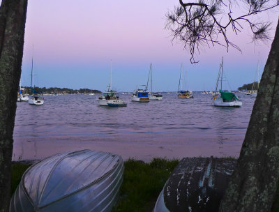 Wangi