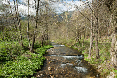 Creak
