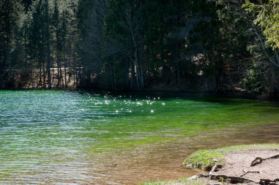 jezersko-04.jpg