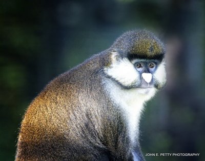 mono _MG_0273.jpg