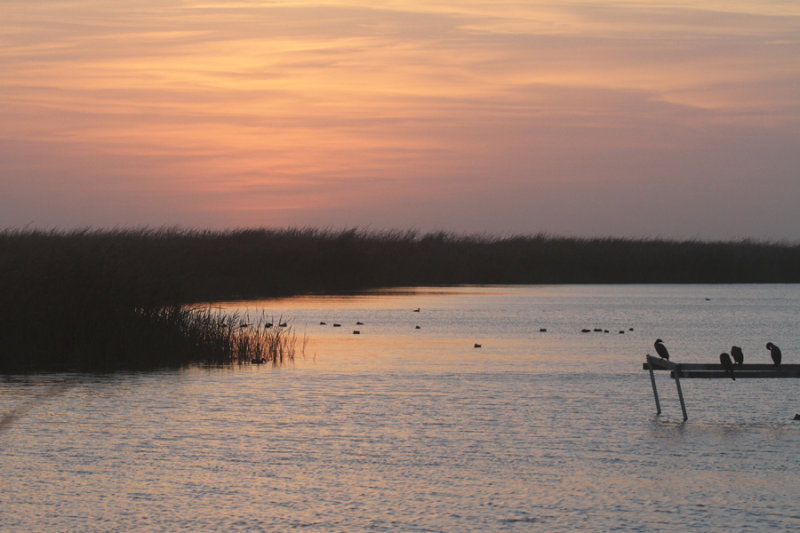 Sunset at Turnbull Birding Center 