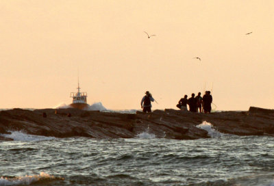 On the Jetty