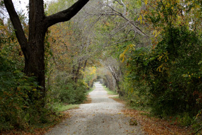 Walker Creek Road in the Fall