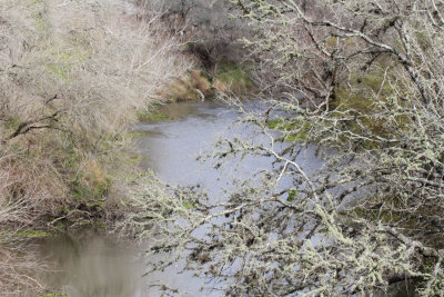 Nueces River from Bridge 