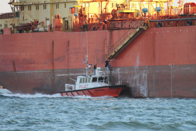 Pilot Boat 