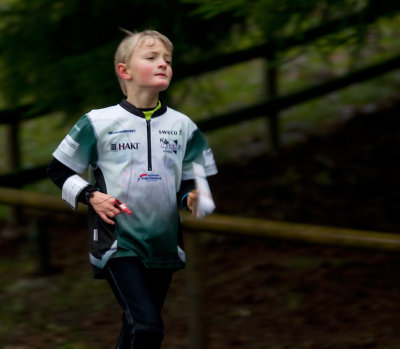 Borås djurpark 018 kopia.jpg