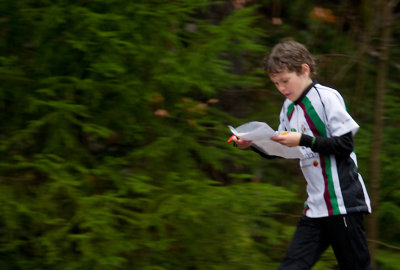 Borås djurpark 023 kopia.jpg